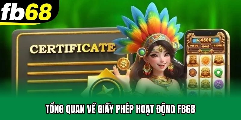Tổng quan về giấy phép hoạt động FB68