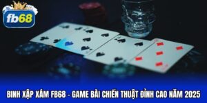 Binh xập xám FB68