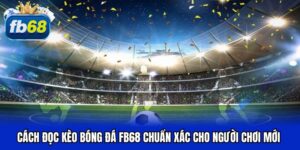 Cách đọc kèo bóng đá