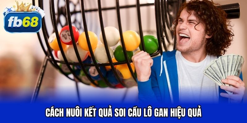 Cách nuôi kết quả soi cầu lô gan hiệu quả