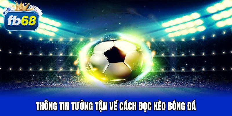 Thông tin tường tận về cách đọc kèo bóng đá