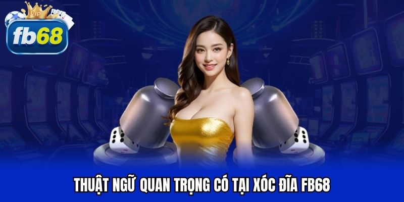 Thuật ngữ quan trọng có tại xóc đĩa FB68